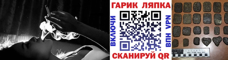 ГАШ убойный Терек