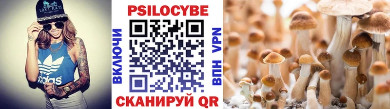 гидра зеркало  Терек  Галлюциногенные грибы GOLDEN TEACHER 