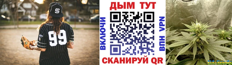 Бошки марихуана VHQ  Терек 